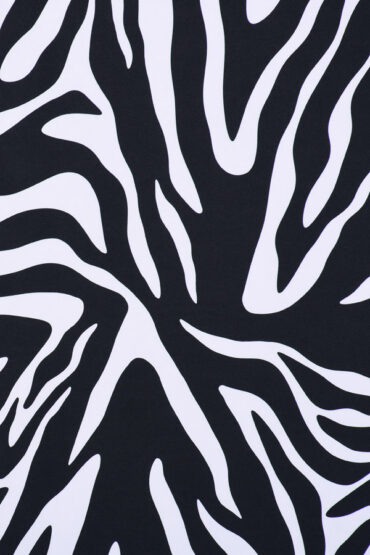 Zebra Large Print